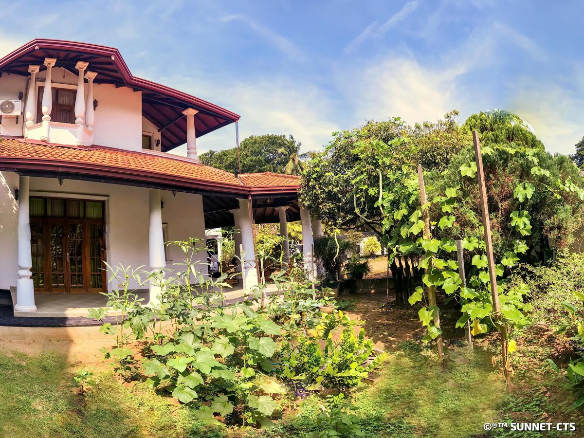 Ceylon Pearlwing Resort Negombo Kültér fotó